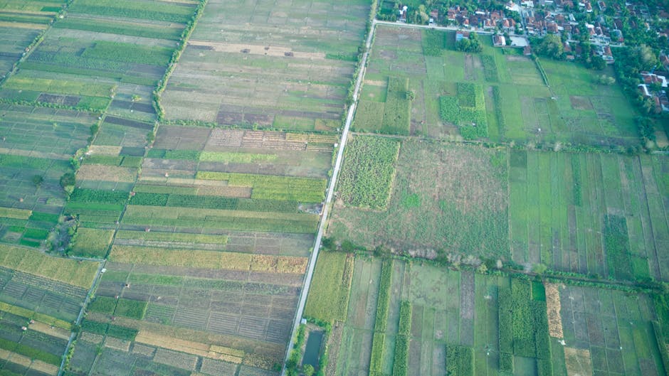 Organic Sourcing